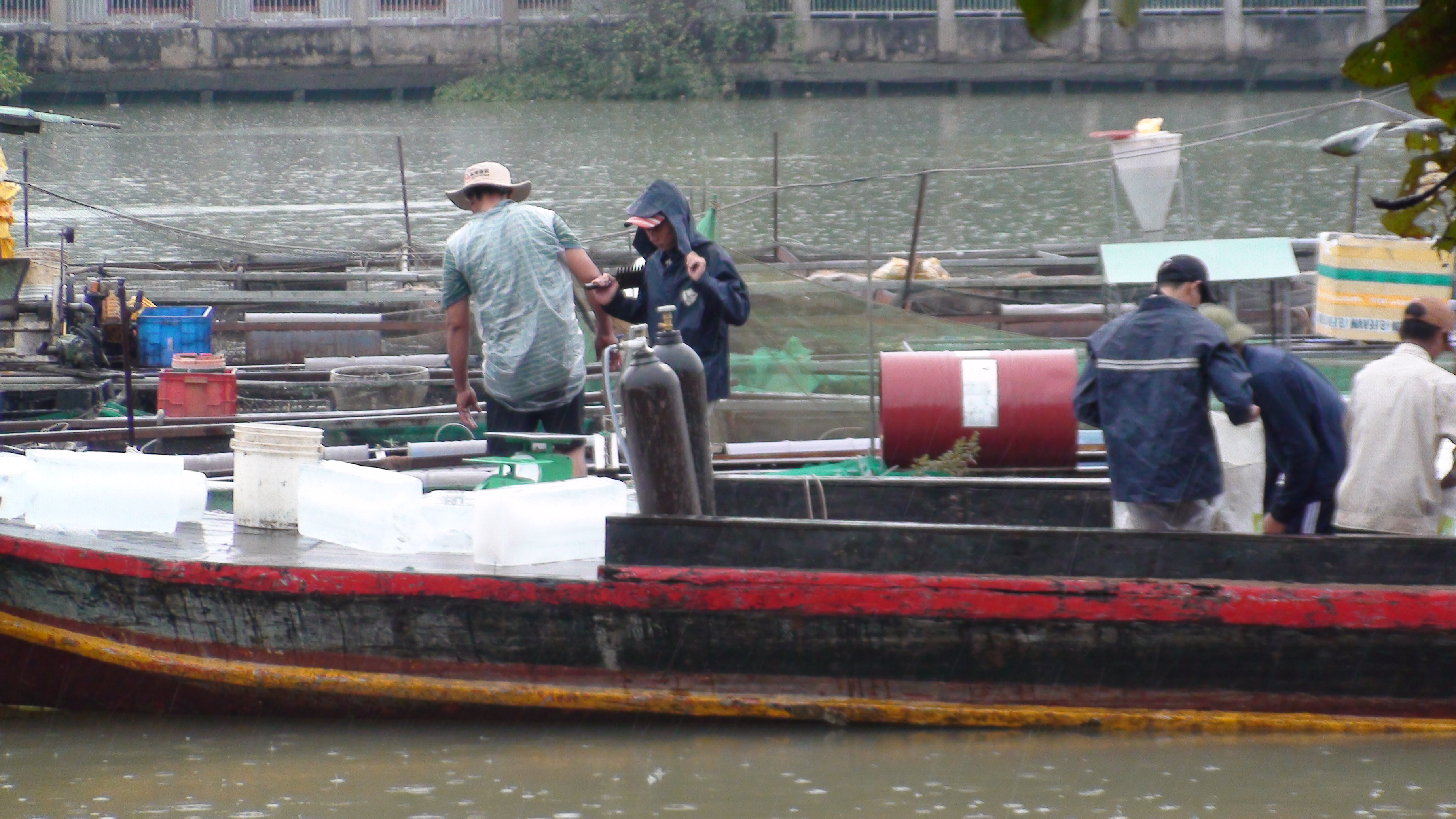 Cưỡng chế di dời người nuôi cá bè trên sông Đồng Nai lên bờ trước 16h chiều 25-12