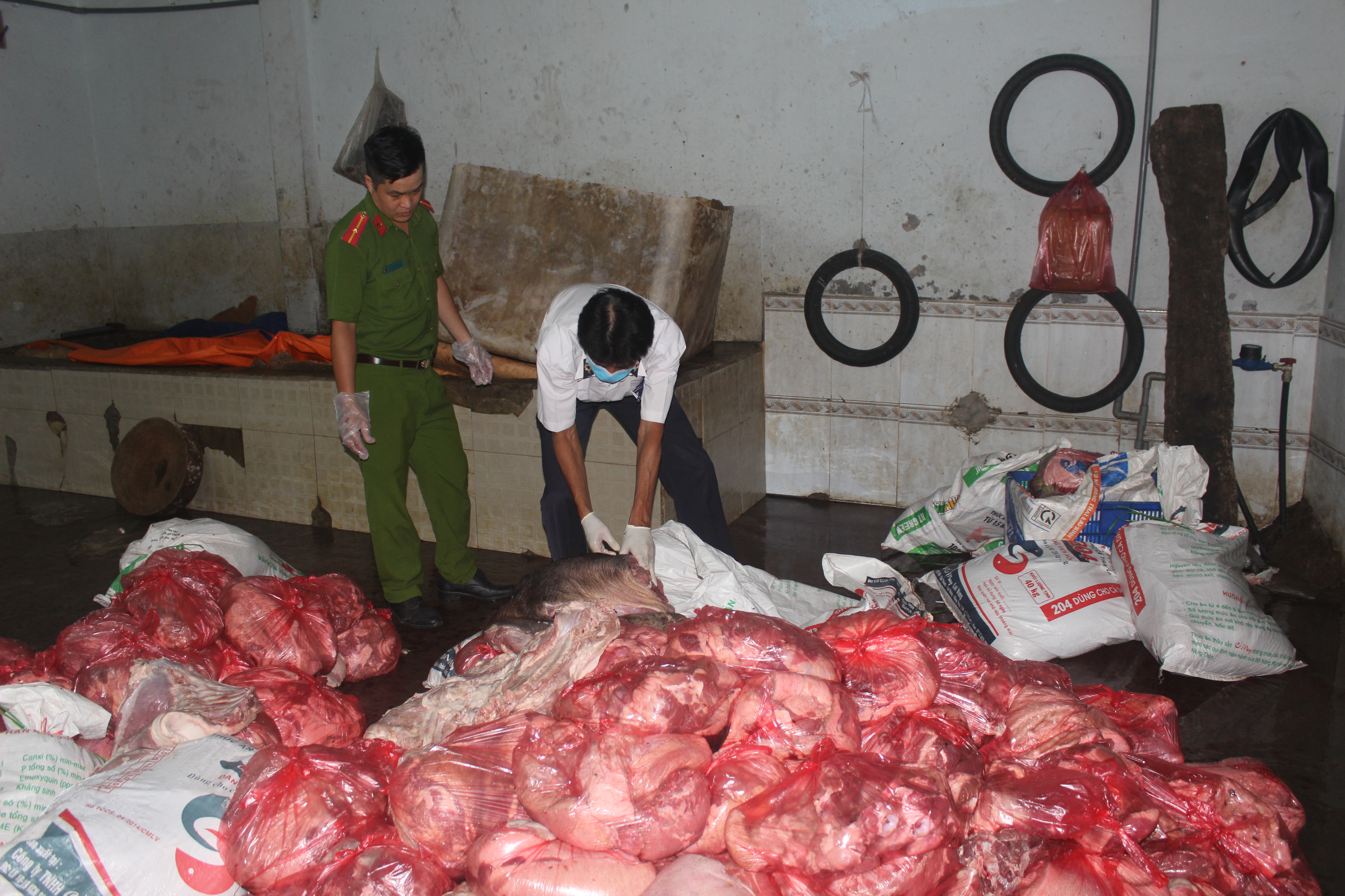 Hơn 1,6 tấn thịt bốc mùi và nhiều lợn chết bị đem vứt dưới suối