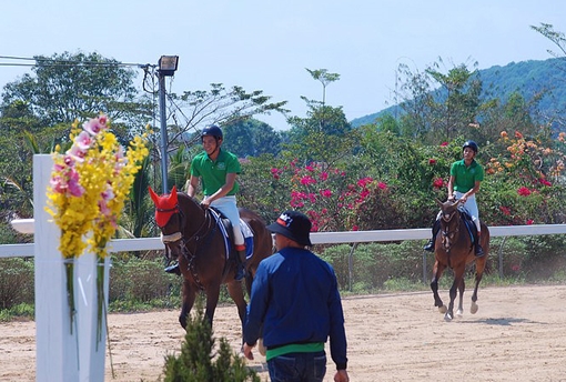 Ra mắt CLB Cưỡi ngựa Olympic tại tỉnh Lâm Đồng