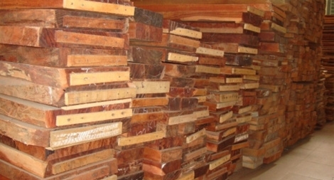 “Mở lối thoát” cho hơn 70.000m³ gỗ nhập khẩu không hợp lệ