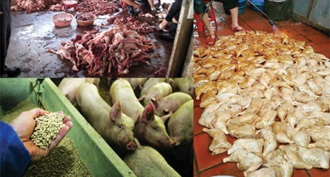 Ngăn chặn thực phẩm “bẩn” đổ bộ về Thủ đô