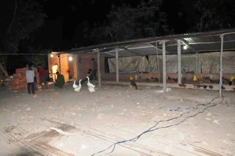 Chồng giết vợ chôn xác giữa phòng ngủ ở long an - ảnh 3