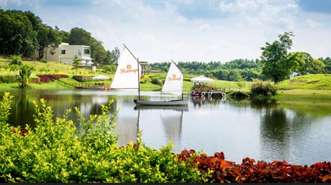 Triển lãm ảnh 'Tự hào Flamingo'