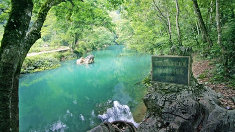 Báo công dâng Bác tại Khu di tích lịch sử cách mạng quốc gia Pác Bó