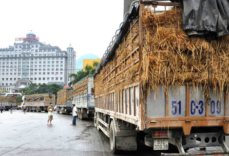 Doanh nghiệp Việt vẫn bị thua thiệt, ép giá trong thương mại biên giới