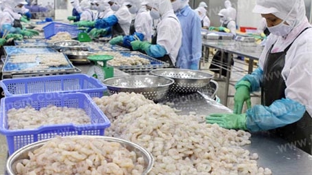 Mức thuế chống bán phá giá tôm vào Mỹ giảm mạnh
