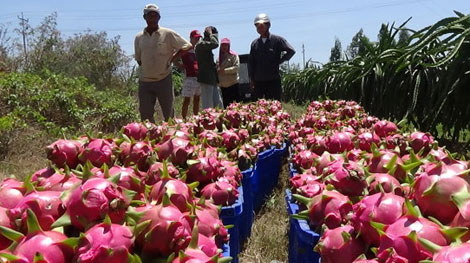 Giải trình 2 nhóm nguyên nhân chênh lệch số liệu thống kê