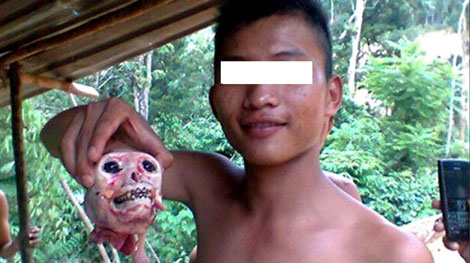 Hậu quả của việc "đối xử tệ" với thú rừng