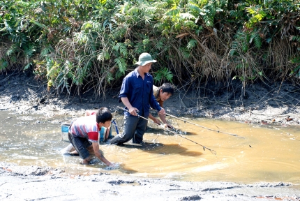 Đi xiệc cá, tử vong trong bưng lầy
