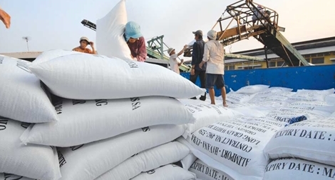 Khẩn trương xây dựng chiến lược xuất khẩu gạo
