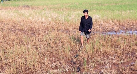 Dự án nghiên cứu tác động của thủy điện trên dòng chính sông Mê Kông vừa được Bộ TN&MT nghiệm thu