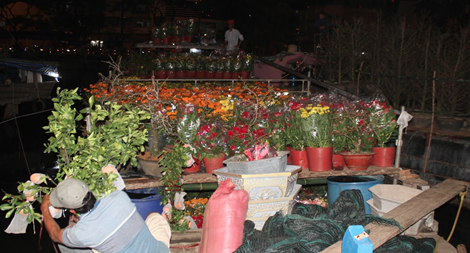 TP Hồ Chí Minh hỗ trợ các thương nhân kinh doanh hoa Đà Lạt