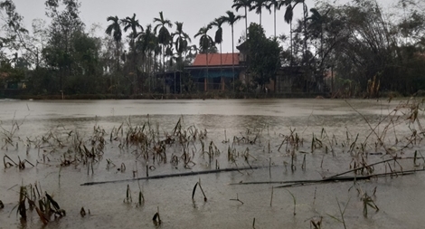 Lật ghe ở cánh đồng ngập lũ, hai chú cháu tử vong