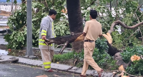 Lực lượng Công an giúp dân khắc phục hậu quả bão số 13