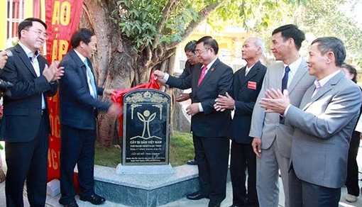 Thêm 5 cây cổ thụ được công nhận “cây di sản Việt Nam”