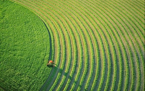 Sản xuất nông nghiệp bền vững ở Israel và hàm ý chính sách cho Việt Nam