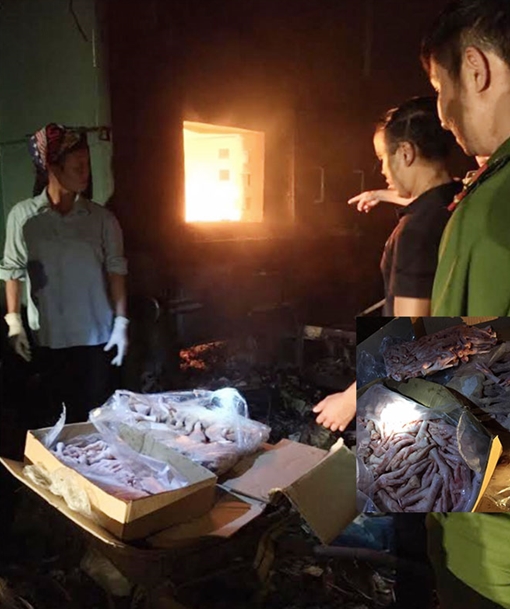 Bắt 800kg sản phẩm động vật không rõ nguồn gốc xuất xứ