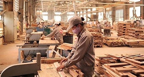 Kim ngạch xuất khẩu đồ gỗ và lâm sản 6 tháng đạt 5,23 tỷ USD