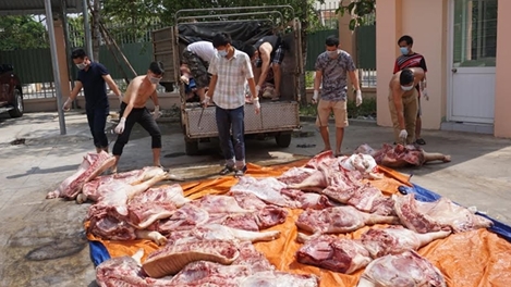 Vận chuyển gần nửa tấn thịt thối vào Nam tiêu thụ