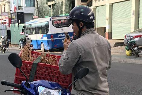 Sơn nhân và những cuộc kiếm tìm "lộc rừng"