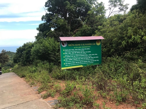 Giải mã những vụ “mất tích” bí ẩn trên bán đảo Sơn Trà