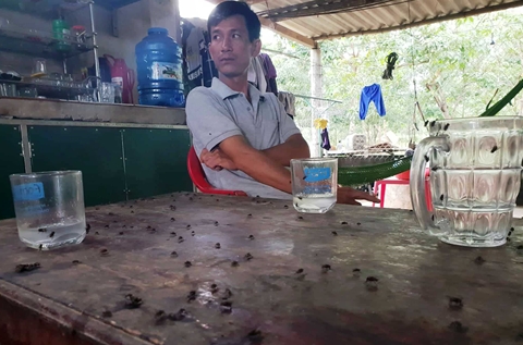 Về nơi người dân phải mắc màn để ăn cơm... vì ruồi