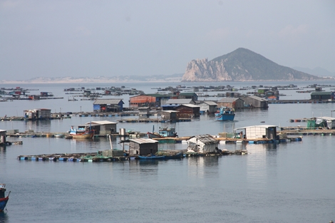 Quyết liệt “xóa sổ” nhà hàng nổi trái phép ven biển