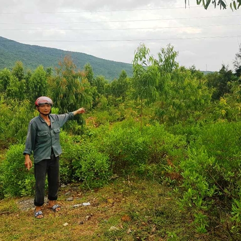 Cần giải quyết thỏa đáng quyền lợi cho các hộ dân ở chân đèo Ngang