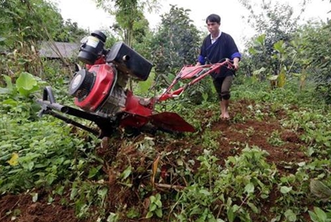 Giúp người dân vươn lên thoát nghèo ở huyện vùng cao Mù Cang Chải