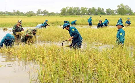 Thời tiết cực đoan gây thiệt hại tại đồng bằng sông Cửu Long