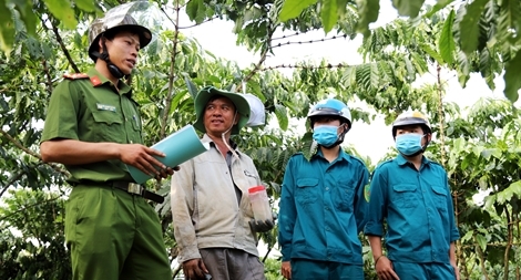 Chủ động phòng, chống tội phạm trong mùa thu hoạch cà phê