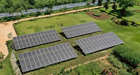 Triển khai năng lượng mặt trời trên toàn hệ thống trang trại của Vinamilk