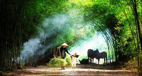 Bắc Bộ trời đẹp, Trung Bộ có mưa về chiều tối và đêm