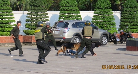 Hải Phòng diễn tập phòng thủ 