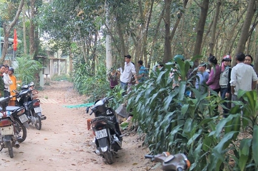 Người đàn ông bị đàn ong tấn công tử vong trong vườn cao su