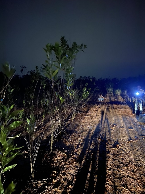 Truy bắt đối tượng dùng roi điện cướp tài sản của bạn quen trên mạng 