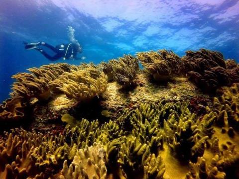 Mời chuyên gia nước ngoài đánh giá tác động môi trường tại vùng biển Vĩnh Tân 