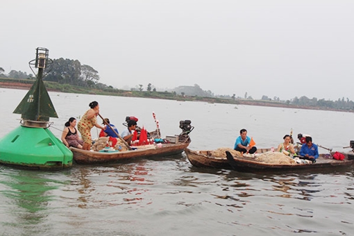 Ngư dân An Giang, Đồng Tháp vào “mùa” săn cá bông lau
