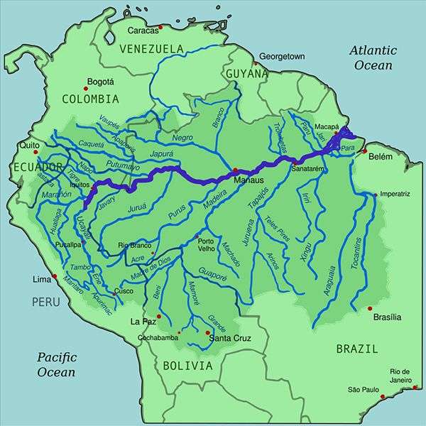Con sông dài nhất thế giới: Hãy đến với Con sông Amazon - một hành trình đầy khám phá và bất ngờ. Tham gia các tour du lịch khám phá con sông dài nhất thế giới này, bạn sẽ được thưởng thức những cảnh quan thiên nhiên tuyệt đẹp và khám phá những bí mật của dòng sông lớn nhất thế giới.
