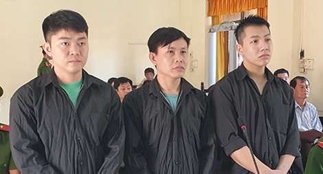 15 năm tù cho tên trộm chuyên đột nhập trường học 