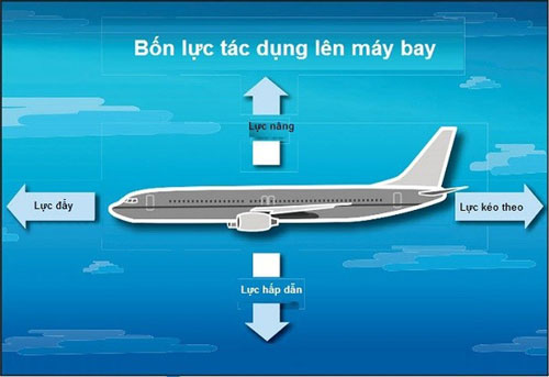 Máy bay: Với máy bay, bạn có thể đi đến bất cứ đâu trên thế giới mà mình muốn. Hãy ngắm nhìn hình ảnh về máy bay, tưởng tượng sự tự do, an toàn và khám phá tiềm năng của những chuyến bay dài đầy thú vị.