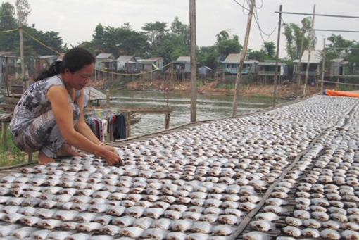 Đặc sản Miền Tây tất bật vào vụ Tết