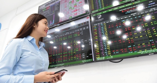 Những nội dung cơ bản của Luật Chứng khoán