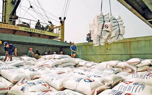 Thanh tra Chính phủ vào cuộc vụ xuất khẩu 400.000 tấn gạo ban đêm