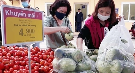 Hệ thống bán lẻ Hà Nội tăng cường tiêu thụ nông sản Hải Dương
