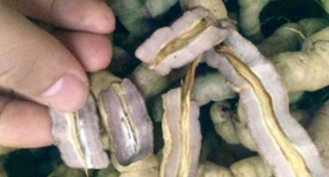 Ba kích – niềm hy vọng cho căn bệnh loãng xương