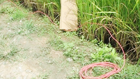 Thiếu niên 15 tuổi chết thảm vì dính bẫy điện diệt chuột