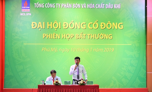 Đạm Phú Mỹ tăng doanh thu lên 9.050 tỷ đồng