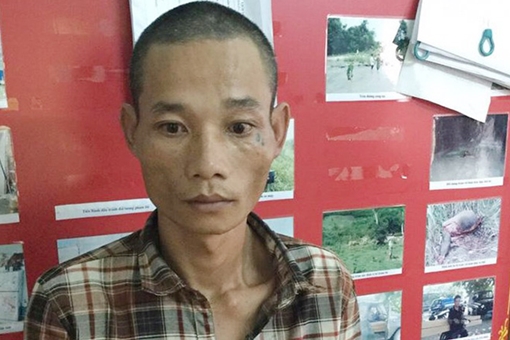 Tài xế chơi ma túy đá, chở gỗ lậu bằng xe... hết hạn lưu hành