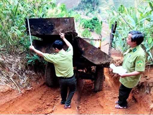 Bắt quả tang 2 xe máy cày vận chuyển gỗ lậu trong đêm